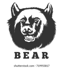 Hand drawn roaring bear. Wild angry bear head vector illustration.