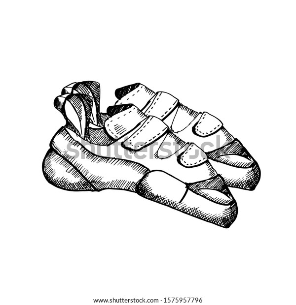 climbing shoes vector