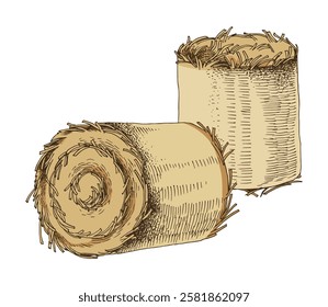 Hand drawn rolled haycock vector illustration