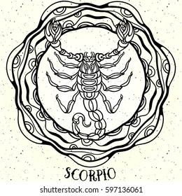 Hand drawn romantic beautiful line art of zodiac
