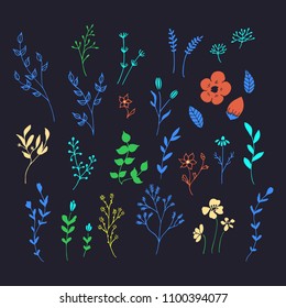 Hand drawn romantic flowers. Vector floral elements.