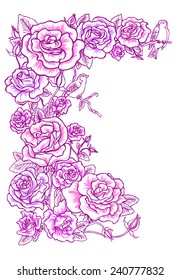 Hand drawn, romantic rose and bird vector illustration in pinks and purples