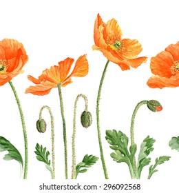 Hand drawn romantic watercolor Poppies, high quality botanical illustration. Seamless strip pattern for greeting cards, invitations  / Vector Illustration