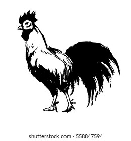 Hand drawn rooster