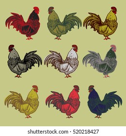 Hand drawn rooster  collection vector illustration