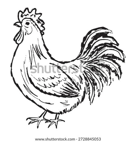 Hand drawn rooster drawing. Farm animal isolated on white background. Vector sketch illustration in vintage doodle crayon charcoal style
