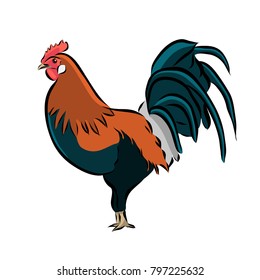 Hand drawn rooster icon, vector