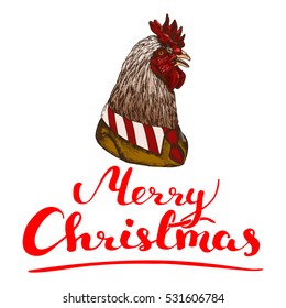 Hand drawn rooster portrait with quote Merry Christmas