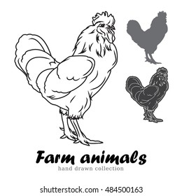 Hand drawn rooster silhouette. Farm animals vector illustration. Line art chicken symbol vintage.