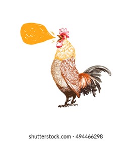 Hand Drawn Rooster Sketch Element Design. Vector Illustration