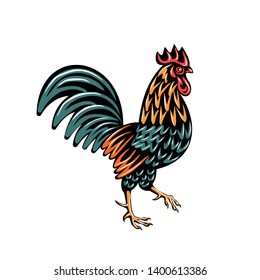 Hand Drawn Rooster Vector Illustration