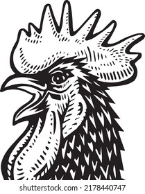 Hand drawn roosters set. Engraved style vector illustration. Template for your design works.