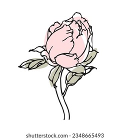 Hand drawn rose bud. Contour drawing with gentle abstract spots. Illustration, invitation, postcard. Vector