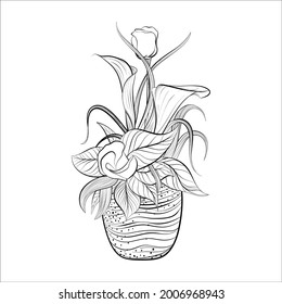 hand drawn rose and cata lily  flower in vase outline