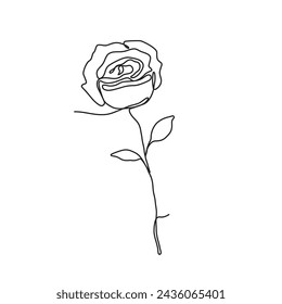 Hand drawn rose in continuous one line style. Vector illustration outline of flower isolated on white background