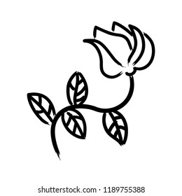 Hand drawn rose. Doodle vector illustration