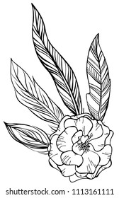 Hand drawn rose and ethnic feathers isolated on white. Doodle design element for wedding, invitation, save the date, greeting cards.