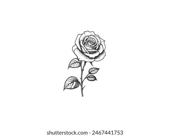 Hand Drawn Rose Flower. hand drawn botanical blue rose flower and leaf elements. Roses flowers set, vector sketch illustration. Rose blossom, leaves and buds isolated on white background. 