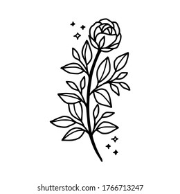 Hand drawn rose flower element. Floral line art for logo, icon, business card, wedding invitation, or decoration