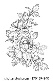 Hand drawn rose flower and leaves bunch isolated on white. Vector line art monochrome elegant floral corner composition in vintage style, t-shirt, tattoo design, coloring page, wedding decoration. 