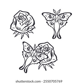 Hand drawn rose flower and luna moth black outline set isolated on white background. Minimalist bloom and butterfly monochrome design.