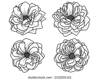 Hand drawn rose flower sketch line art illustration