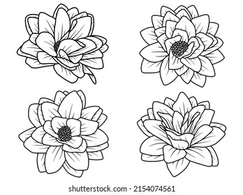 Hand drawn rose flower sketch line art illustration