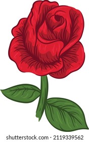  Vector de flor rosa dibujado a mano 