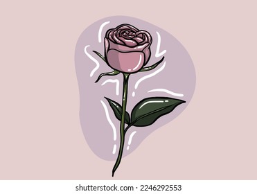 Hand drawn Rose flower vector design, beautiful pink rose flower art and illustration isolated on background