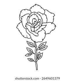 Hand drawn rose flower vector illustration. Doodle style minimalist rose line art vector