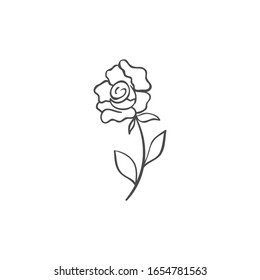 Hand drawn rose flower.Plant design elements. Botanical logo.