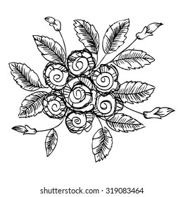 Hand drawn rose flowers