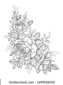 Hand drawn rose flowers bunch isolated on white background. Vector line art monochrome elegant floral composition in vintage style, t-shirt, tattoo design, coloring page, wedding decoration 