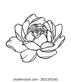 Hand drawn rose flower.Vector black outline peony drawing silhouette floral tattoo illustration isolated on white background.Logo icon.Wall vinyl decal sticker design.