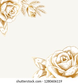 Hand drawn rose framed background vector