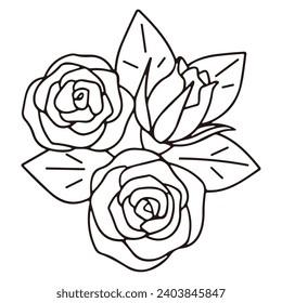 Hand drawn rose icon , Line drawing Vector
