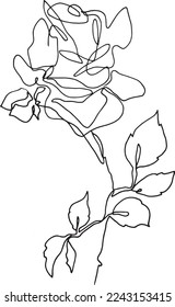 hand drawn rose illustration. continuous line drawing. freehand botanical drawing. 