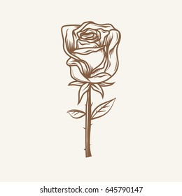 Hand Drawn Rose with leaves.