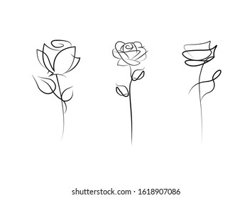 Rose Blossoms Isolated On White Background Stock Vector (Royalty Free ...