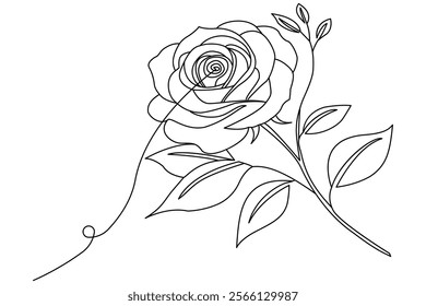 
Hand drawn Rose line art drawing Images illustration collection Free Vector