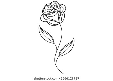 
Hand drawn Rose line art drawing Images illustration collection Free Vector