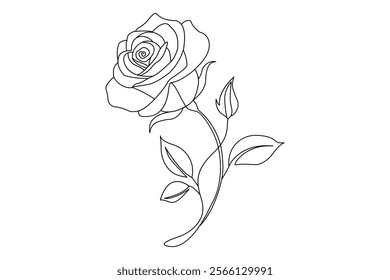 
Hand drawn Rose line art drawing Images illustration collection Free Vector