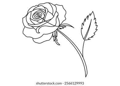 
Hand drawn Rose line art drawing Images illustration collection Free Vector