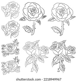 Colección de ilustraciones de dibujos de líneas de rosa dibujadas a mano