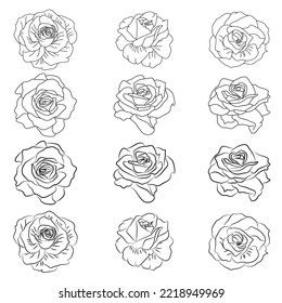 Kollektion von Illustrationen für handgezeichnete Rosenlinien
