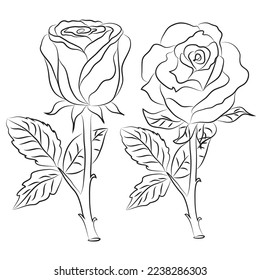 Kollektion von Illustrationen für handgezeichnete Rosenlinien