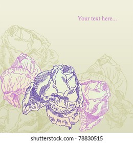 hand drawn rose on sepia background