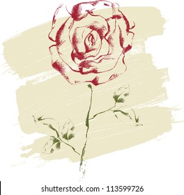 Hand drawn rose on textured background