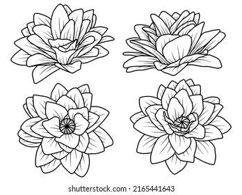 Hand drawn Rose sketch line art illustration