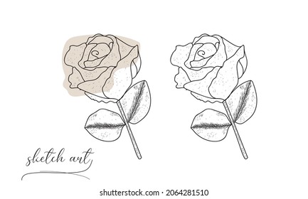 hand drawn rose sketch vector illustration design. 
